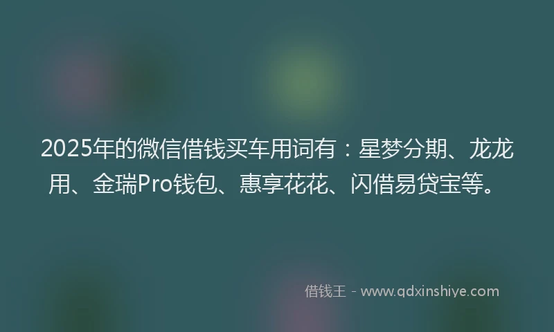 2025年的微信借钱买车用词有：星梦分期、龙龙用、金瑞Pro钱包、惠享花花、闪借易贷宝等。