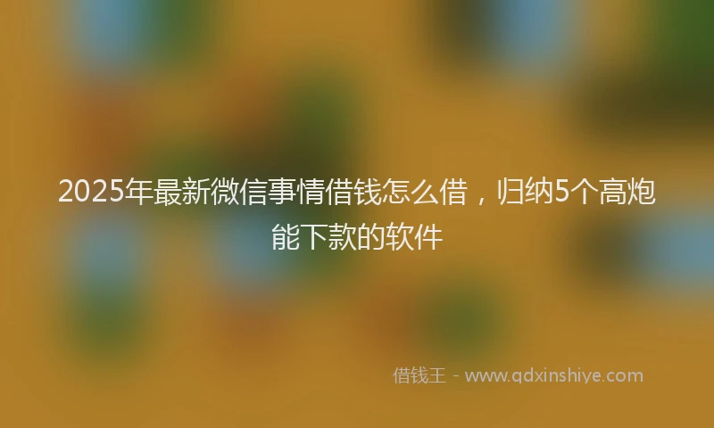 2025年最新微信事情借钱怎么借，归纳5个高炮能下款的软件