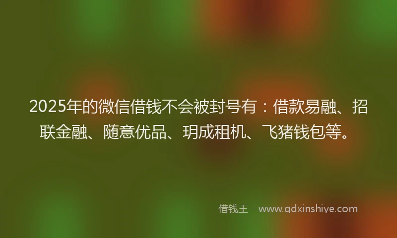 2025年的微信借钱不会被封号有：借款易融、招联金融、随意优品、玥成租机、飞猪钱包等。