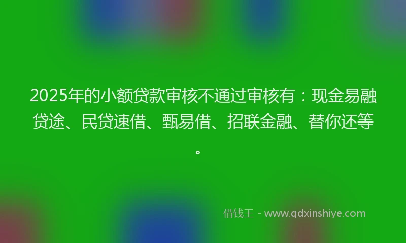2025年的小额贷款审核不通过审核有：现金易融贷途、民贷速借、甄易借、招联金融、替你还等。