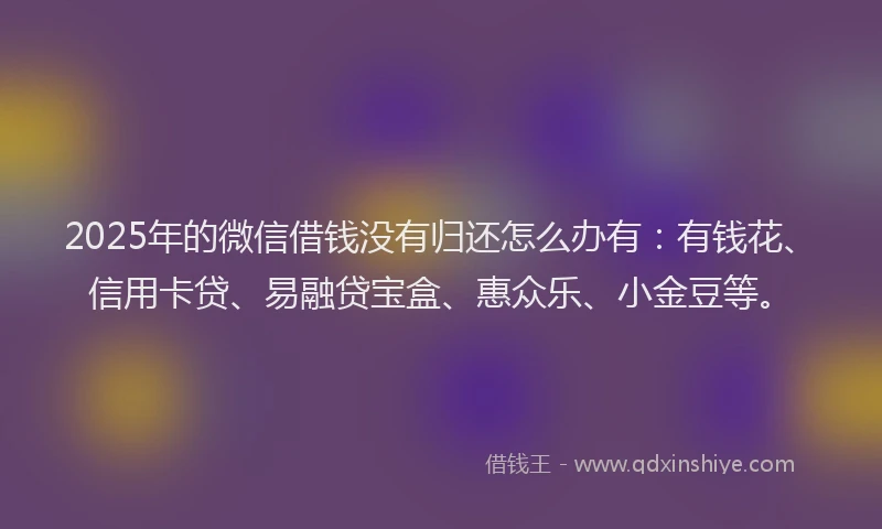 2025年的微信借钱没有归还怎么办有：有钱花、信用卡贷、易融贷宝盒、惠众乐、小金豆等。