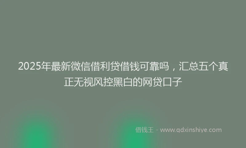 2025年最新微信借利贷借钱可靠吗，汇总五个真正无视风控黑白的网贷口子