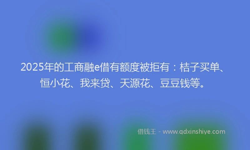 2025年的工商融e借有额度被拒有：桔子买单、恒小花、我来贷、天源花、豆豆钱等。