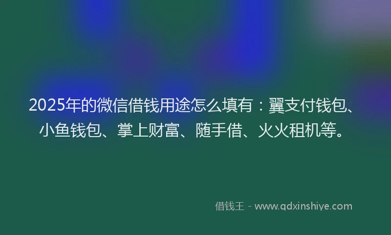 2025年的微信借钱用途怎么填有：翼支付钱包、小鱼钱包、掌上财富、随手借、火火租机等。