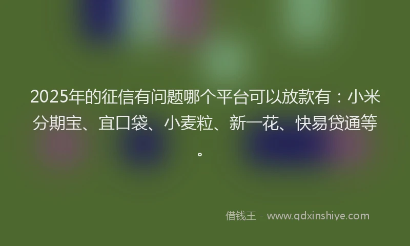 2025年的征信有问题哪个平台可以放款有：小米分期宝、宜口袋、小麦粒、新一花、快易贷通等。