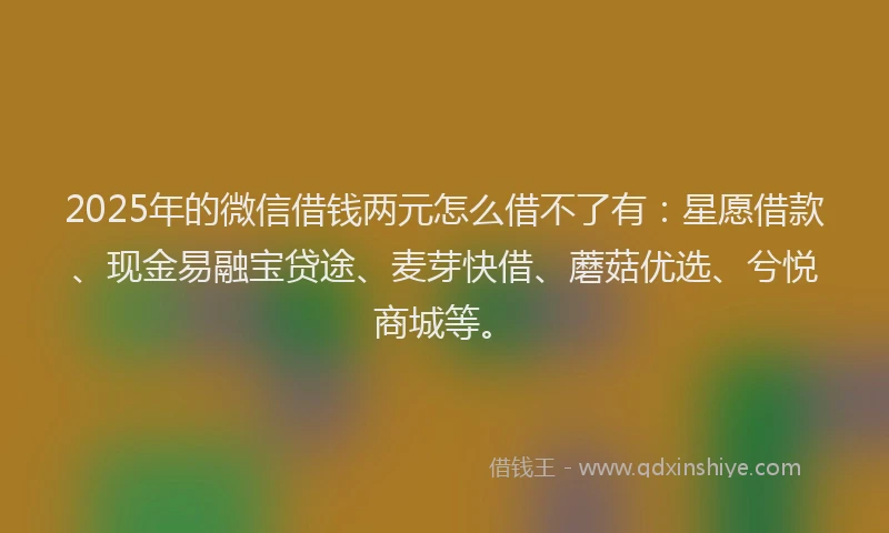 2025年的微信借钱两元怎么借不了有：星愿借款、现金易融宝贷途、麦芽快借、蘑菇优选、兮悦商城等。