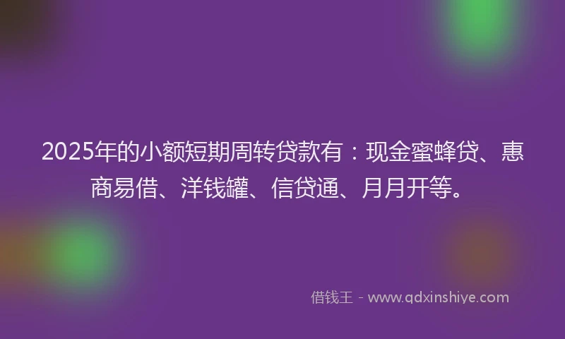 2025年的小额短期周转贷款有：现金蜜蜂贷、惠商易借、洋钱罐、信贷通、月月开等。