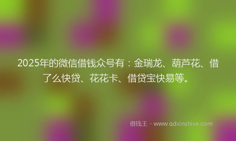 2025年的微信借钱众号有：金瑞龙、葫芦花、借了么快贷、花花卡、借贷宝快易等。