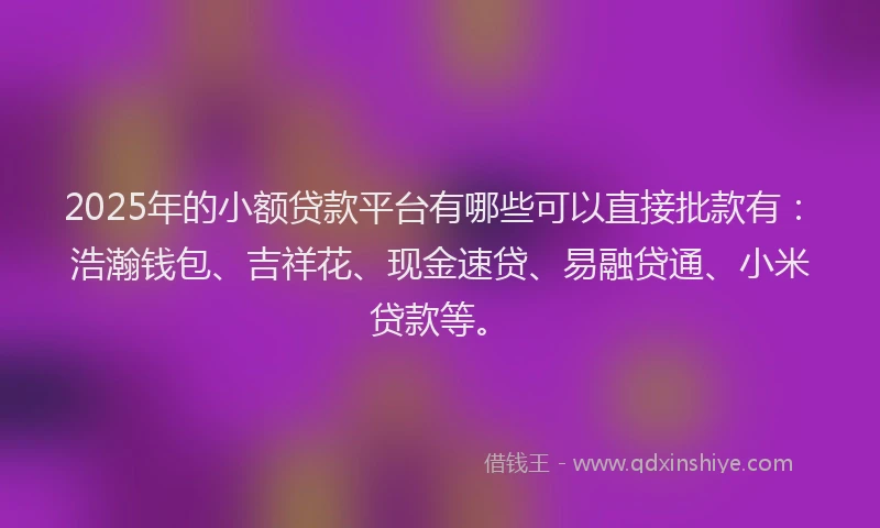 2025年的小额贷款平台有哪些可以直接批款有：浩瀚钱包、吉祥花、现金速贷、易融贷通、小米贷款等。