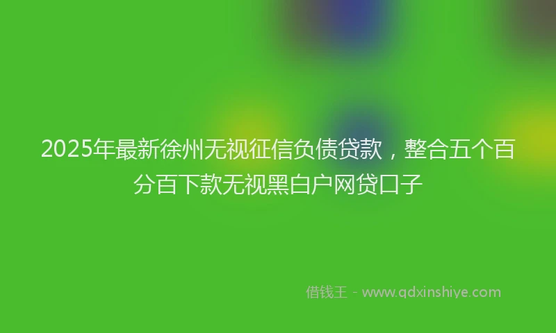 2025年最新徐州无视征信负债贷款，整合五个百分百下款无视黑白户网贷口子