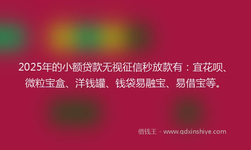 2025年的小额贷款无视征信秒放款有：宜花呗、微粒宝盒、洋钱罐、钱袋易融宝、易借宝等。