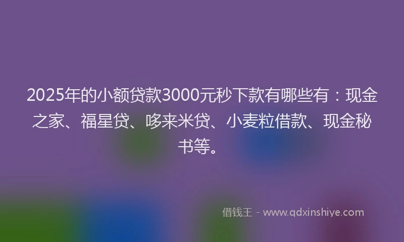 2025年的小额贷款3000元秒下款有哪些有：现金之家、福星贷、哆来米贷、小麦粒借款、现金秘书等。