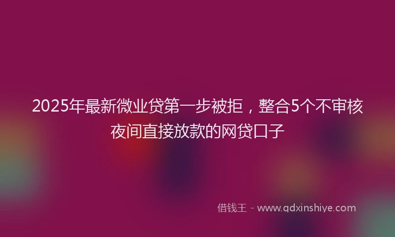 2025年最新微业贷第一步被拒，整合5个不审核夜间直接放款的网贷口子