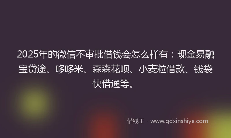 2025年的微信不审批借钱会怎么样有：现金易融宝贷途、哆哆米、森森花呗、小麦粒借款、钱袋快借通等。