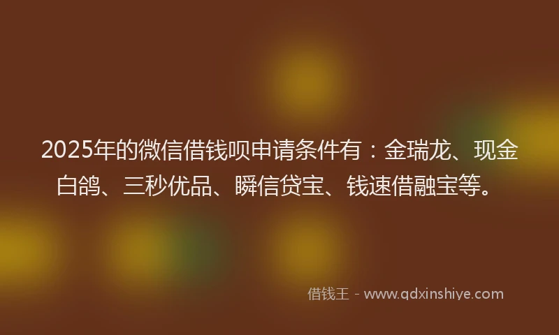 2025年的微信借钱呗申请条件有：金瑞龙、现金白鸽、三秒优品、瞬信贷宝、钱速借融宝等。