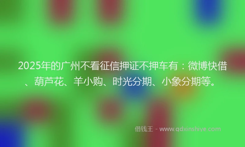 2025年的广州不看征信押证不押车有：微博快借、葫芦花、羊小购、时光分期、小象分期等。