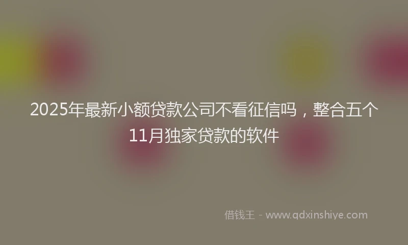 2025年最新小额贷款公司不看征信吗，整合五个11月独家贷款的软件