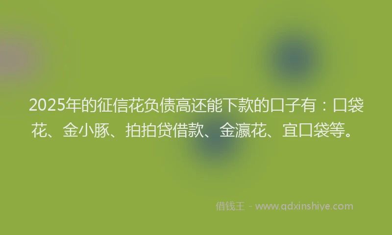 2025年的征信花负债高还能下款的口子有：口袋花、金小豚、拍拍贷借款、金瀛花、宜口袋等。