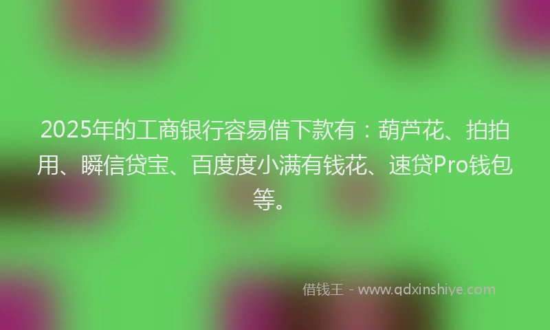 2025年的工商银行容易借下款有：葫芦花、拍拍用、瞬信贷宝、百度度小满有钱花、速贷Pro钱包等。