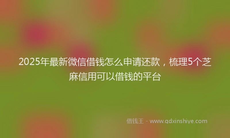 2025年最新微信借钱怎么申请还款，梳理5个芝麻信用可以借钱的平台