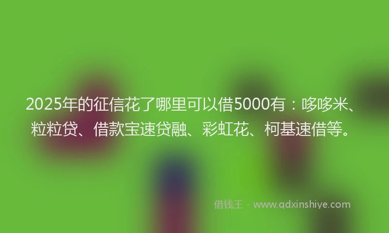 2025年的征信花了哪里可以借5000有：哆哆米、粒粒贷、借款宝速贷融、彩虹花、柯基速借等。