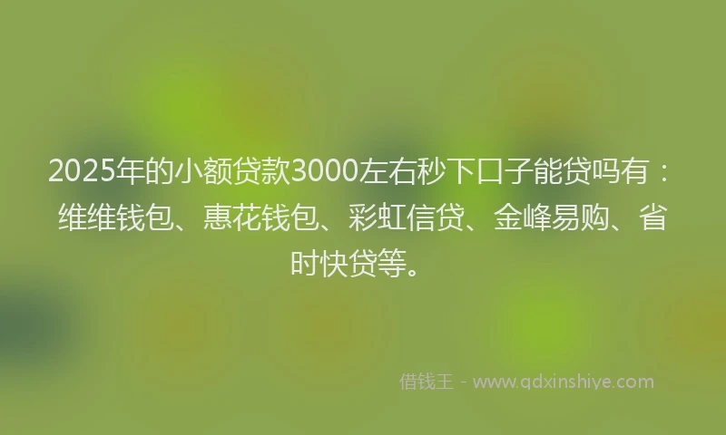 2025年的小额贷款3000左右秒下口子能贷吗有：维维钱包、惠花钱包、彩虹信贷、金峰易购、省时快贷等。