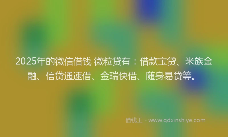 2025年的微信借钱 微粒贷有：借款宝贷、米族金融、信贷通速借、金瑞快借、随身易贷等。