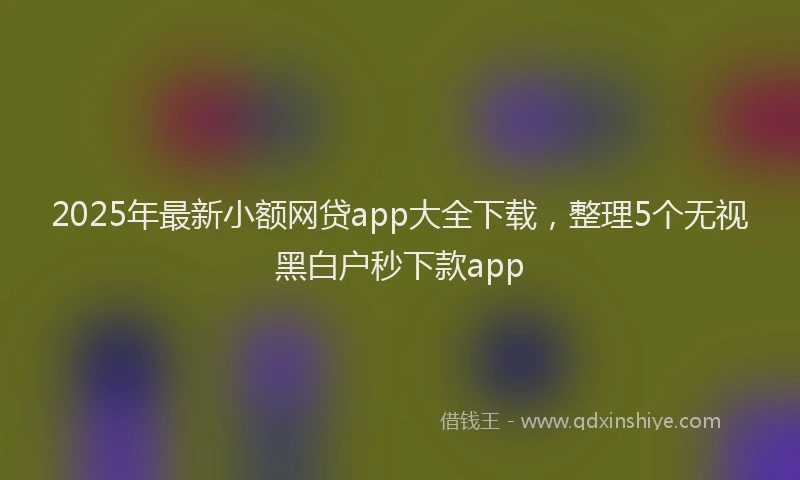 2025年最新小额网贷app大全下载，整理5个无视黑白户秒下款app