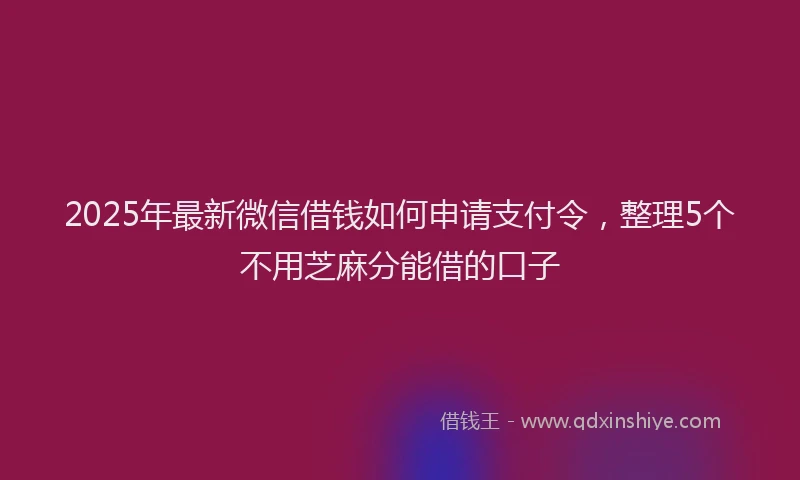 2025年最新微信借钱如何申请支付令，整理5个不用芝麻分能借的口子