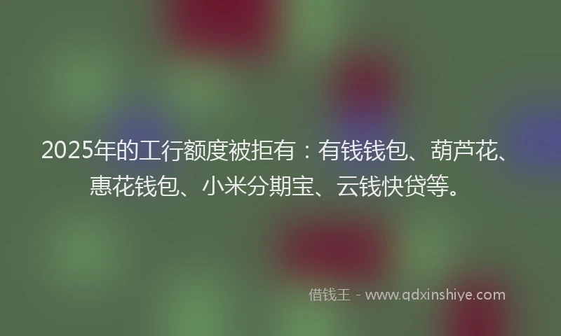 2025年的工行额度被拒有：有钱钱包、葫芦花、惠花钱包、小米分期宝、云钱快贷等。