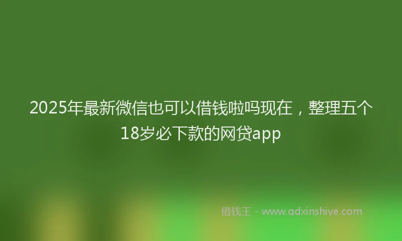 2025年最新微信也可以借钱啦吗现在，整理五个18岁必下款的网贷app