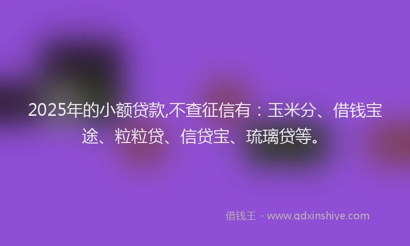2025年的小额贷款,不查征信有：玉米分、借钱宝途、粒粒贷、信贷宝、琉璃贷等。