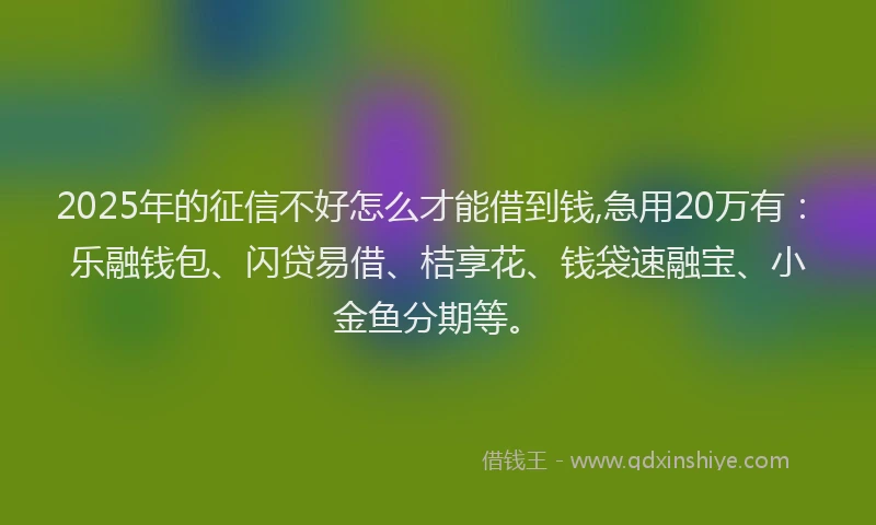 2025年的征信不好怎么才能借到钱,急用20万有：乐融钱包、闪贷易借、桔享花、钱袋速融宝、小金鱼分期等。