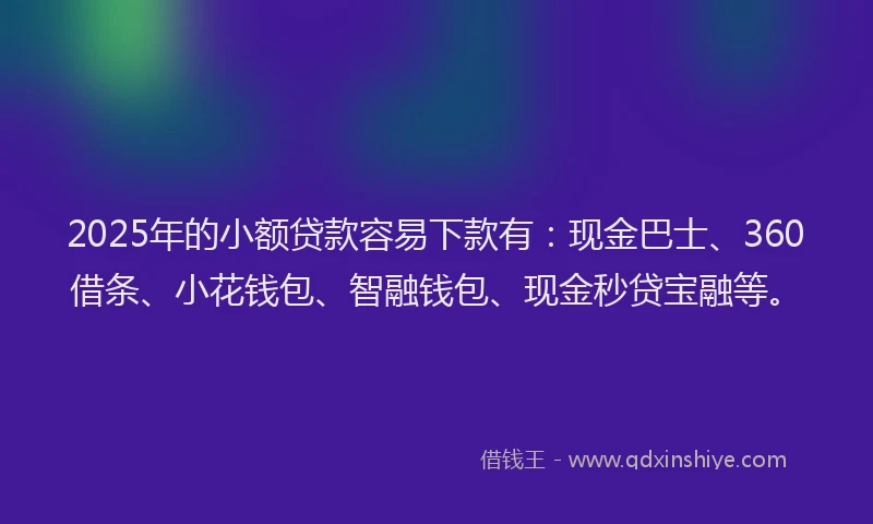 2025年的小额贷款容易下款有：现金巴士、360借条、小花钱包、智融钱包、现金秒贷宝融等。