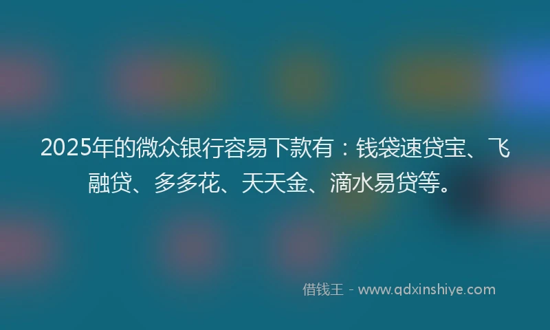 2025年的微众银行容易下款有：钱袋速贷宝、飞融贷、多多花、天天金、滴水易贷等。
