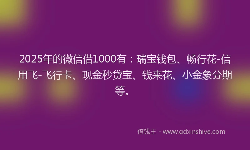 2025年的微信借1000有：瑞宝钱包、畅行花-信用飞-飞行卡、现金秒贷宝、钱来花、小金象分期等。