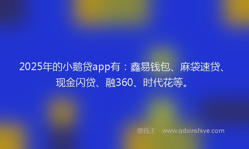 2025年的小鹅贷app有：鑫易钱包、麻袋速贷、现金闪贷、融360、时代花等。