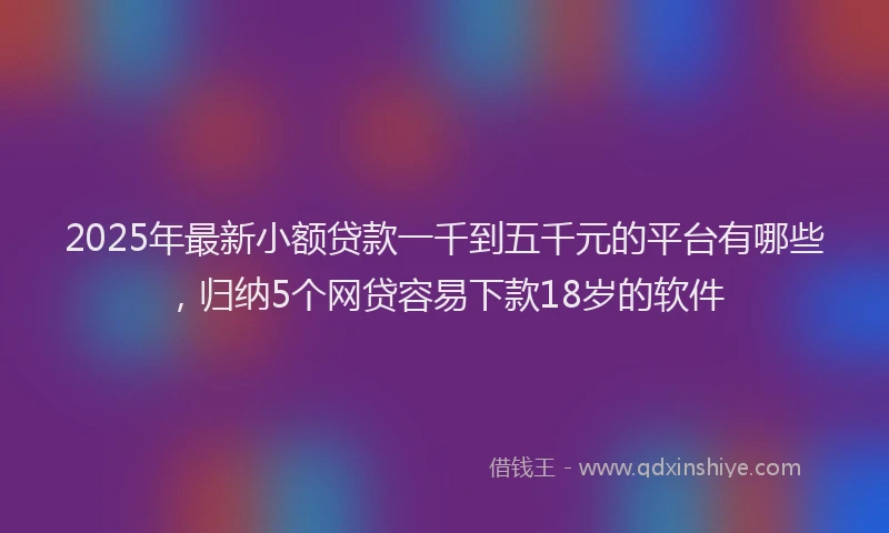 2025年最新小额贷款一千到五千元的平台有哪些，归纳5个网贷容易下款18岁的软件