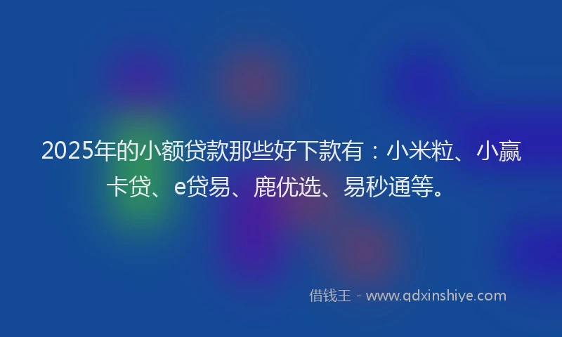 2025年的小额贷款那些好下款有：小米粒、小赢卡贷、e贷易、鹿优选、易秒通等。