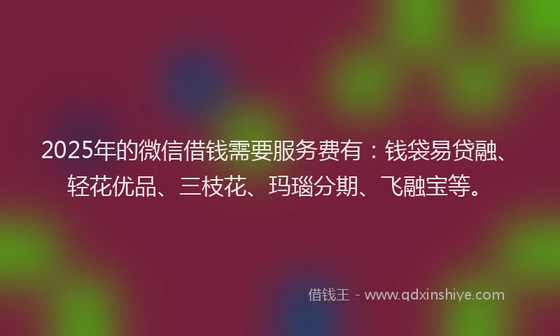 2025年的微信借钱需要服务费有：钱袋易贷融、轻花优品、三枝花、玛瑙分期、飞融宝等。