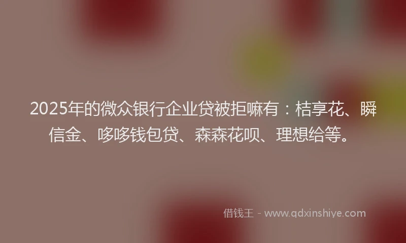 2025年的微众银行企业贷被拒嘛有：桔享花、瞬信金、哆哆钱包贷、森森花呗、理想给等。