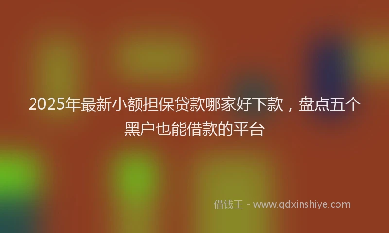 2025年最新小额担保贷款哪家好下款，盘点五个黑户也能借款的平台