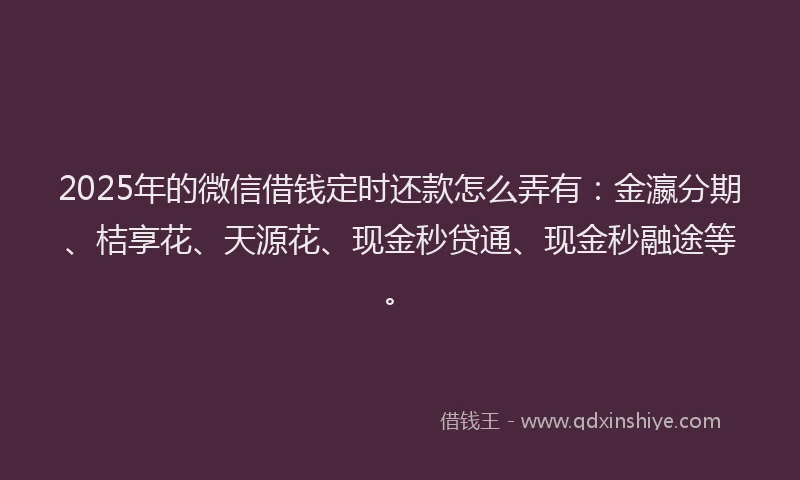 2025年的微信借钱定时还款怎么弄有：金瀛分期、桔享花、天源花、现金秒贷通、现金秒融途等。