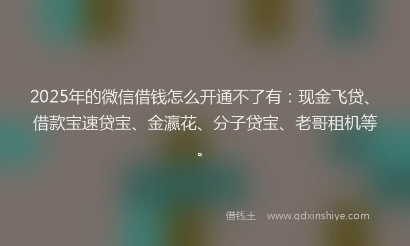 2025年的微信借钱怎么开通不了有：现金飞贷、借款宝速贷宝、金瀛花、分子贷宝、老哥租机等。