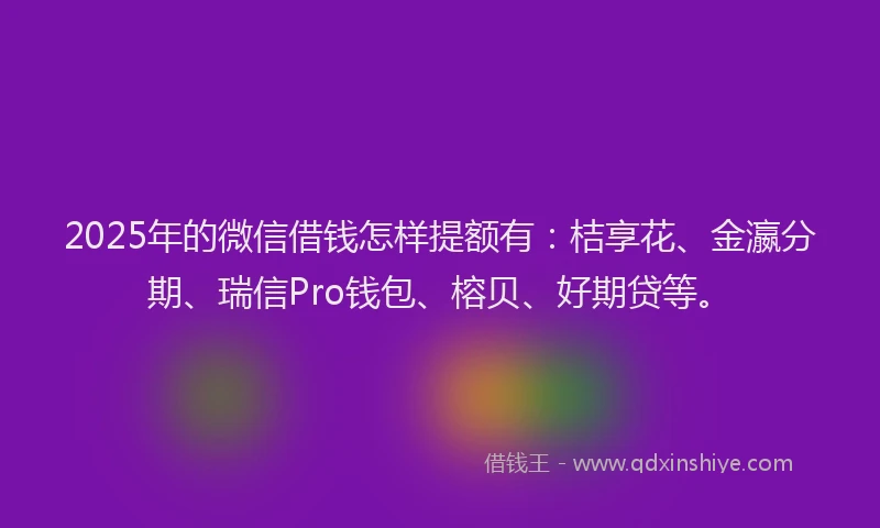 2025年的微信借钱怎样提额有：桔享花、金瀛分期、瑞信Pro钱包、榕贝、好期贷等。