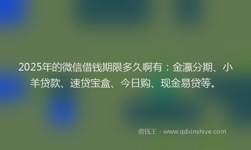 2025年的微信借钱期限多久啊有：金瀛分期、小羊贷款、速贷宝盒、今日购、现金易贷等。