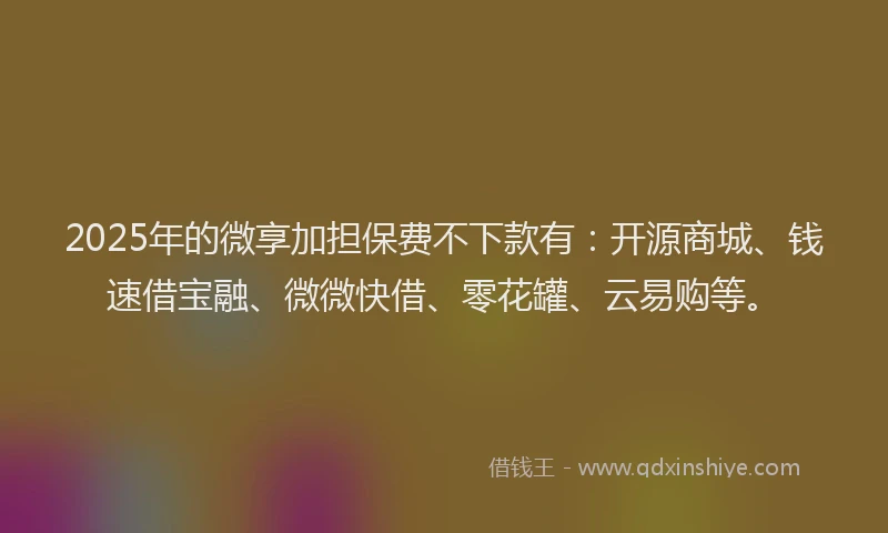 2025年的微享加担保费不下款有：开源商城、钱速借宝融、微微快借、零花罐、云易购等。