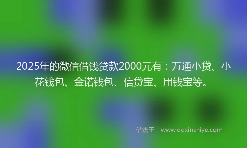2025年的微信借钱贷款2000元有：万通小贷、小花钱包、金诺钱包、信贷宝、用钱宝等。