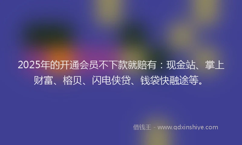 2025年的开通会员不下款就赔有：现金站、掌上财富、榕贝、闪电侠贷、钱袋快融途等。