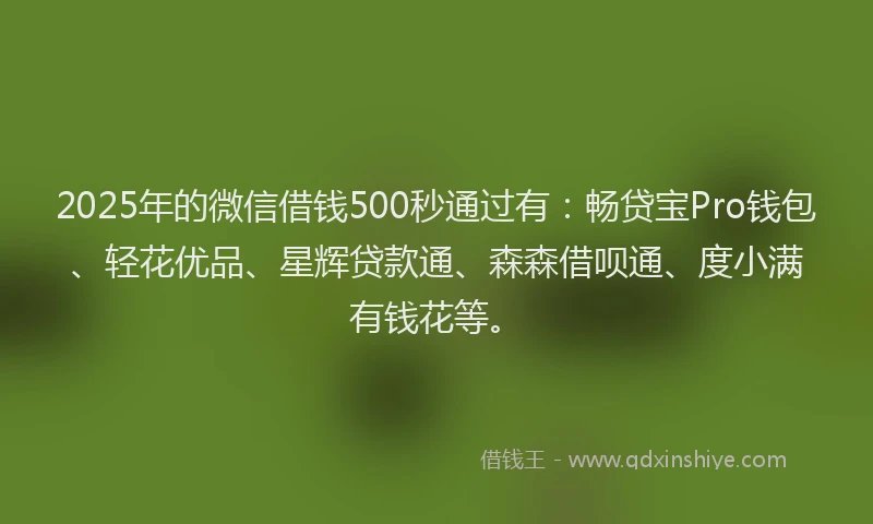 2025年的微信借钱500秒通过有：畅贷宝Pro钱包、轻花优品、星辉贷款通、森森借呗通、度小满有钱花等。